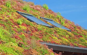 Tullich Muir living roof systems